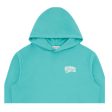 Billionaire Boys Club Small Arch Logo Teal Hoodie Online Hot Sale