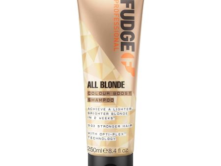 Fudge All Blonde Colour Boost Shampoo 250ml Cheap