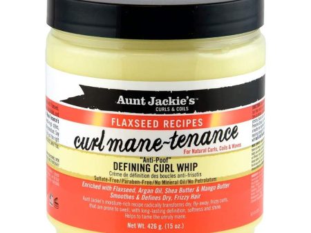 Aunt Jackie s Flaxseed Curl Mane-Tenance 426g Hot on Sale