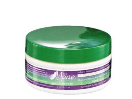 The Mane Choice Hair Type 4 Leaf Clover Manageability and Softening Remedy Mask 300ml Fashion