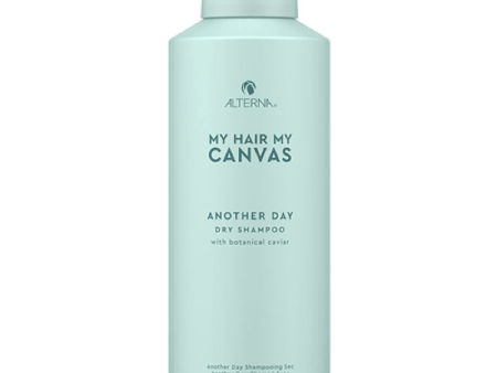 Alterna My Hair My Canvas Another Day Dry Shampoo 142g Online Sale