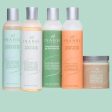 Inahsi Naturals Deluxe Wash Day System Fashion